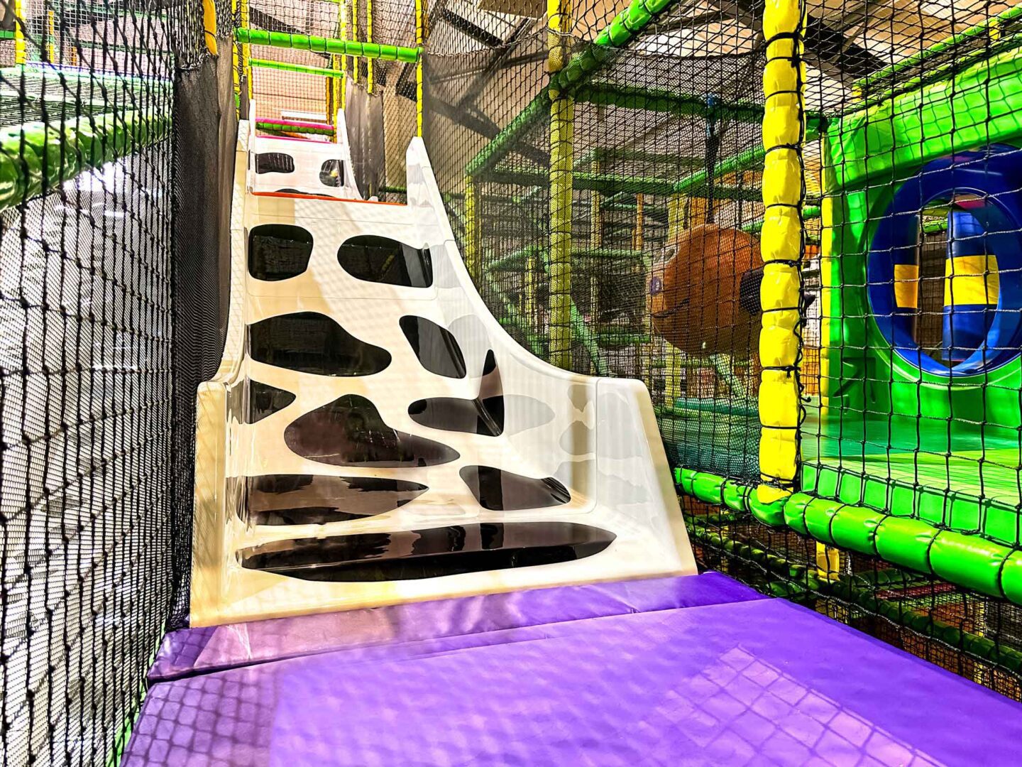 Custom white and black cow print drop slides at Cannon Hall Farm's indoor softplay area designed by Play Creations.