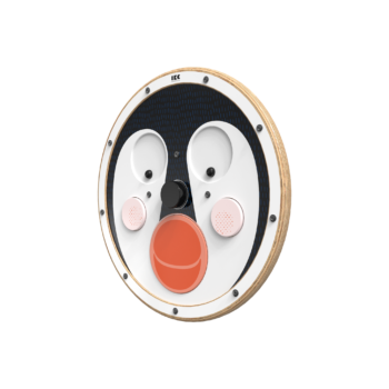 Fun Penguin